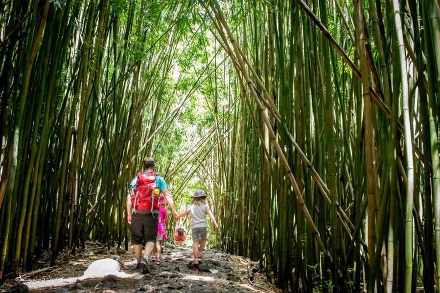 Experience the Outdoors on National Hike Day and National Camp Day