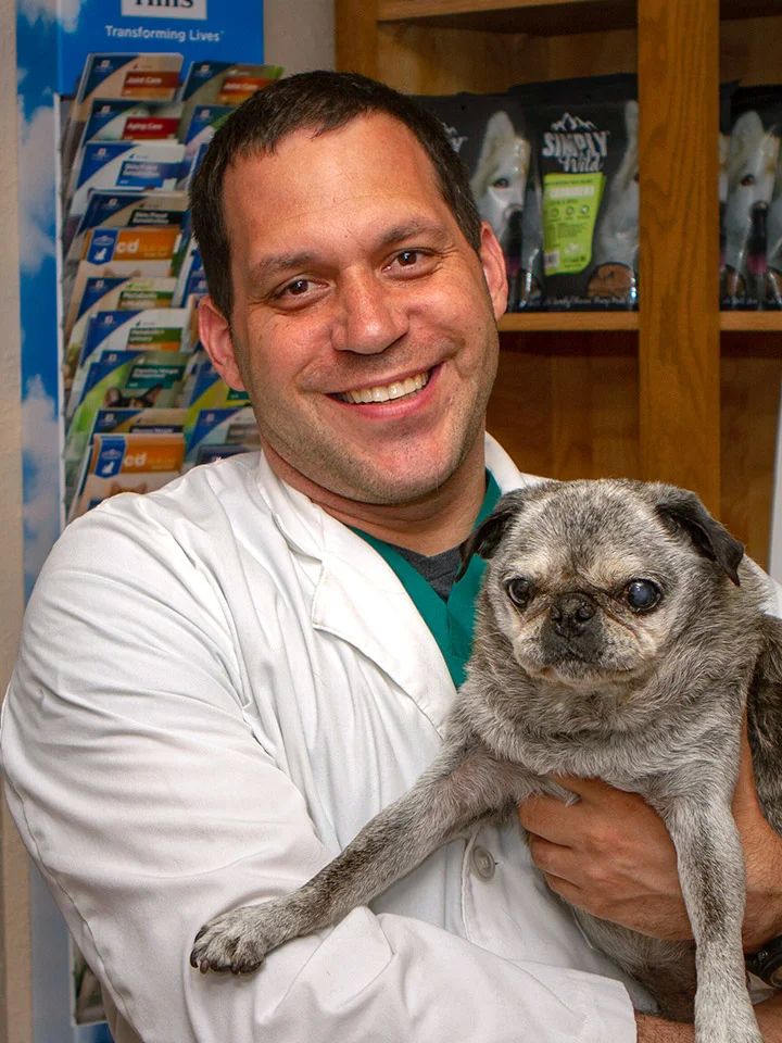 Dr. Andrew