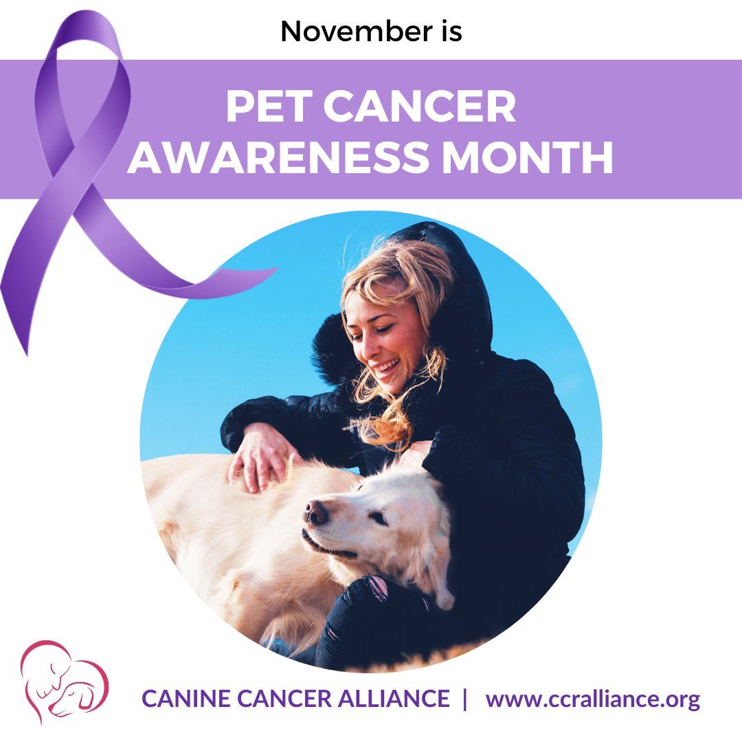 National Pet Cancer Awareness Canine Cancer Alliance