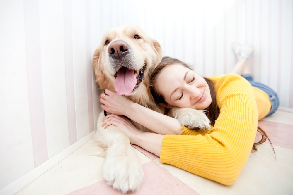 girl in a yellow sweater and blue jeans plays with a dog