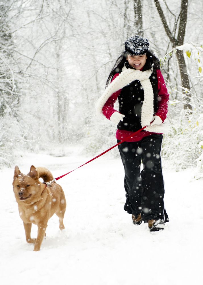 woman running with dog on snow