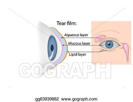 gograph