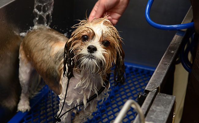 Bathing