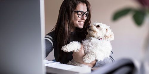 lady hugging a dog