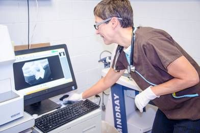 dental xrays