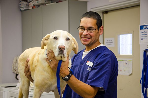 Broad River Animal Hospital 