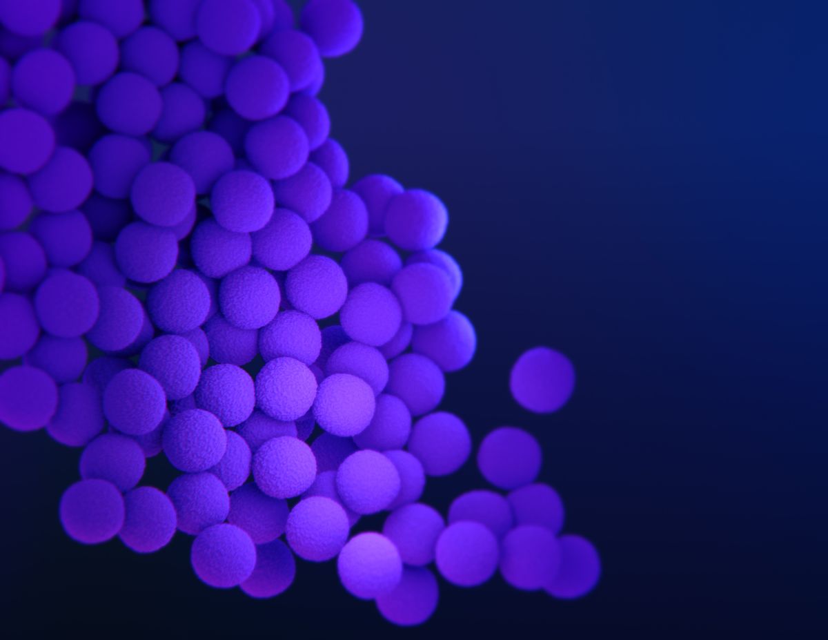 How MRSA spreads...