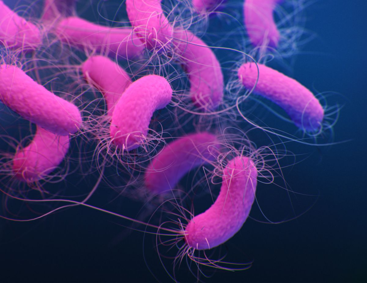 Differential metabolism between biofilm and suspended Pseudomonas aeruginosa cultures in bovine synovial fluid by 2D NMR-based metabolomics