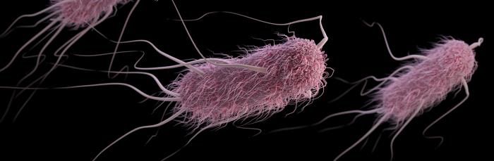 Identification of mcr-1-positive multidrug-resistant Escherichia coli isolates from clinical samples in Shanghai, China