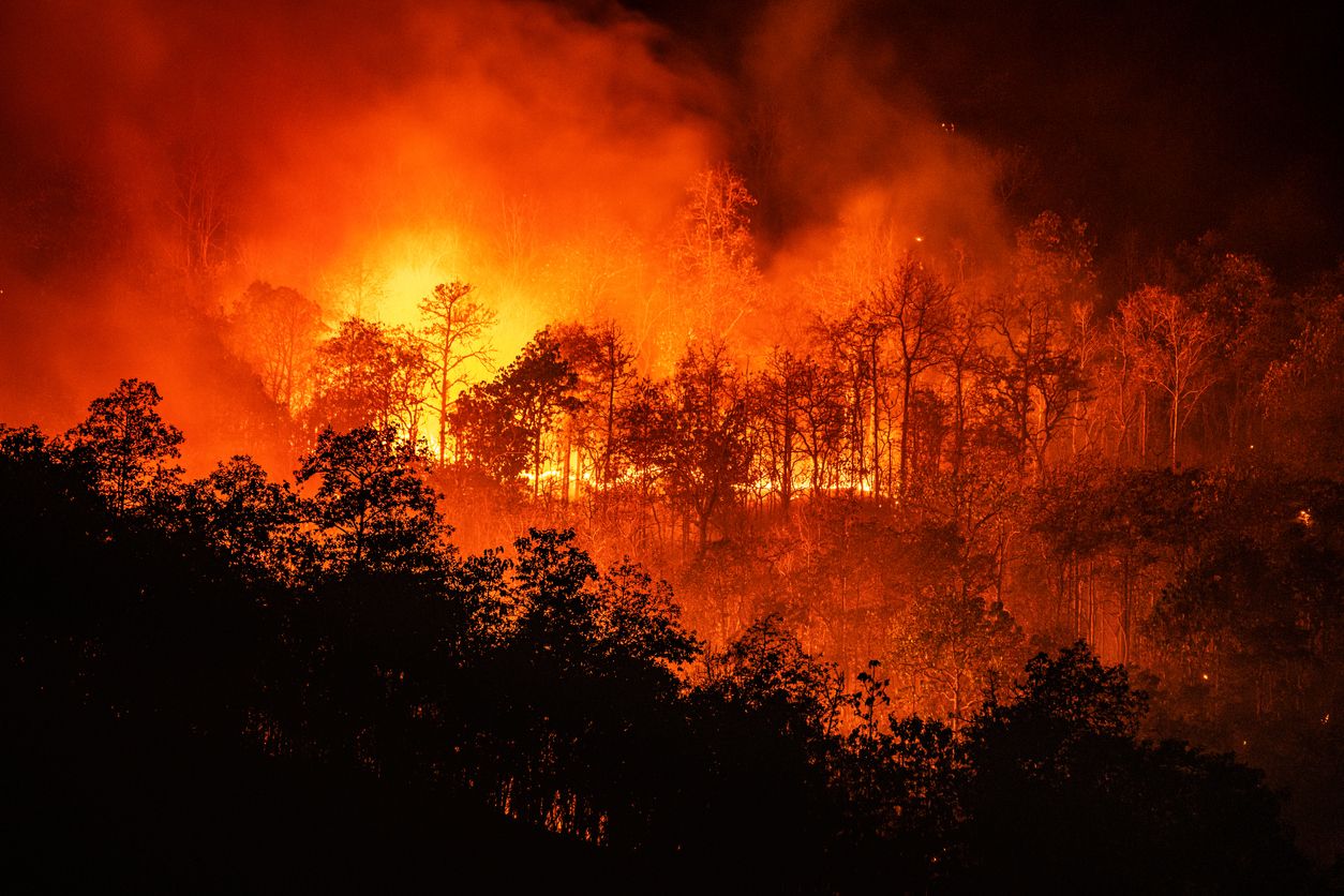 Health Effects of Wildfires: Recent Research and What Clinicians Need to Know