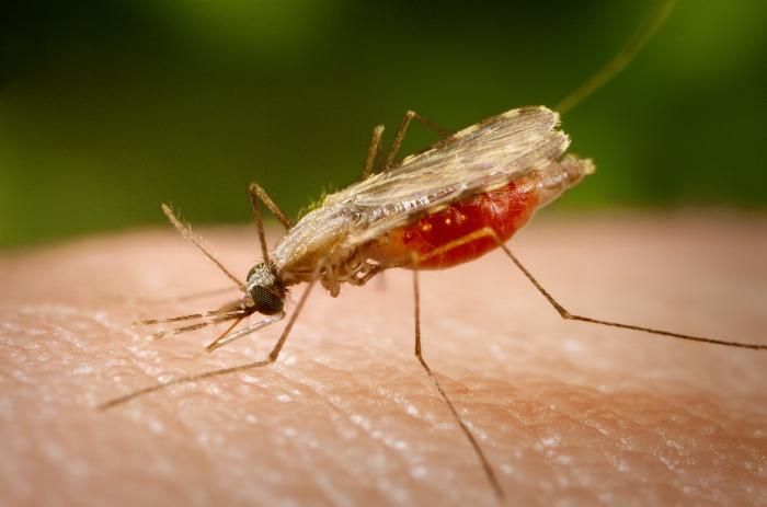 West Nile virus cases are rising, and experts say 'people have to protect themselves'