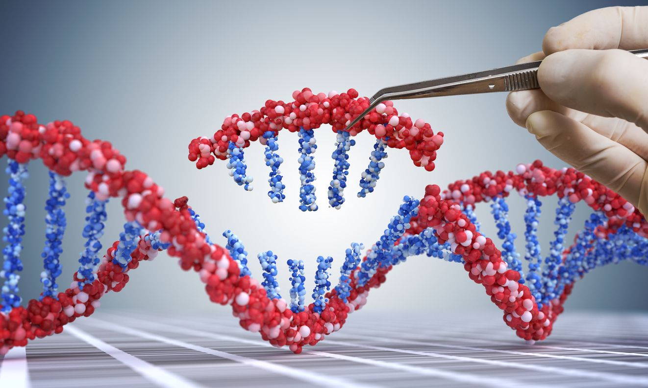 World Health Organization advisers urge global effort to regulate genome editing