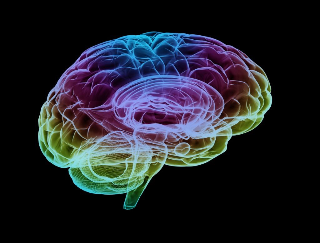 Patient-specific mathematical model determines how aneurysm shape and size influence growth and rupture