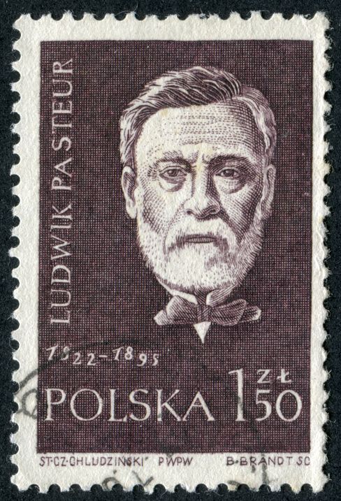 Louis Pasteur’s scientific discoveries in the 19th century revolutionized medicine and continue to save the lives of millions today