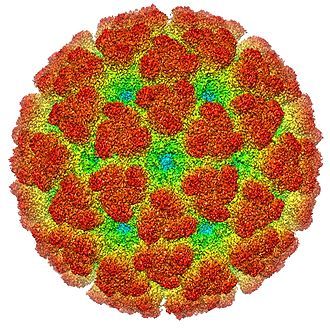 Valneva Awarded FDA Breakthrough Designation for its Single-Shot Chikungunya Vaccine Candidate