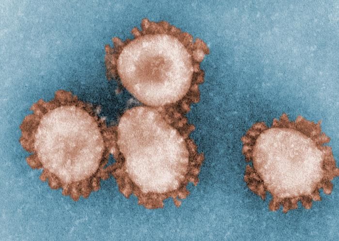 CDC suspends country-specific Covid-19 travel advisories