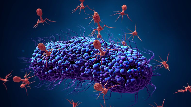 Characterization and anti-biofilm activity of bacteriophages against urinary tract Enterococcus faecalis isolates