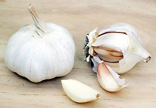 Supplementation with aged garlic extract improves both NK and γδ-T cell function and reduces the severity of cold and flu symptoms: a randomized, double-blind, placebo-controlled nutrition intervention