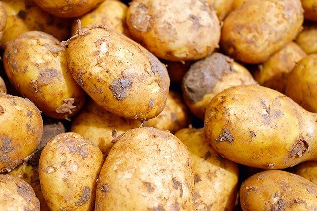 Impact of sociodemographic factors on the consumption of tubers in Brazil