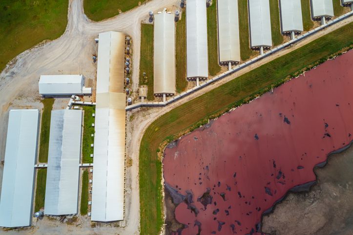 Confined Animal Feeding Operations (CAFO)  and Antimicrobial Resistance