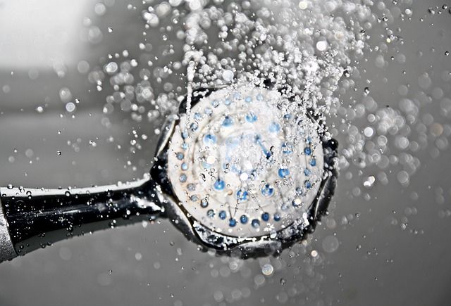 Opportunistic pathogens enriched in showerhead biofilms