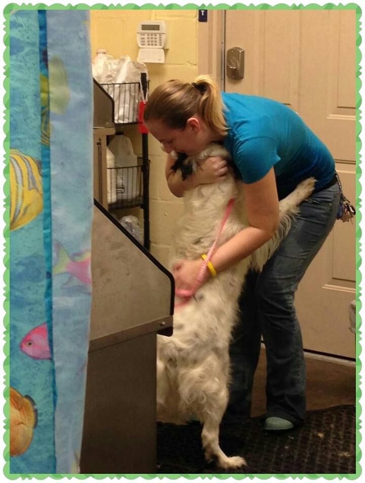 Pet Grooming in Gainesville FL at Prestige Pet Resort & Spa