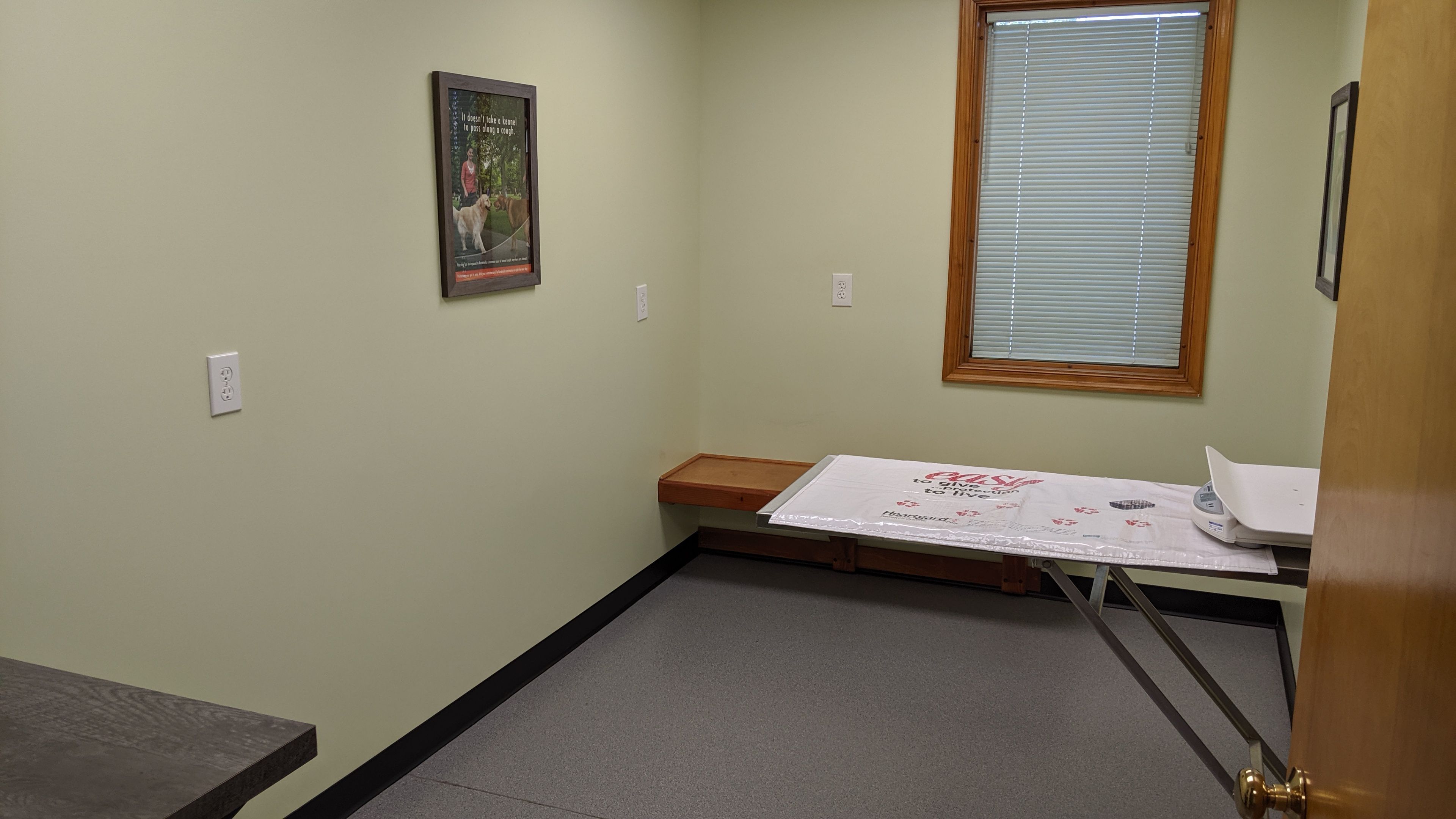 Canine Exam Room 2