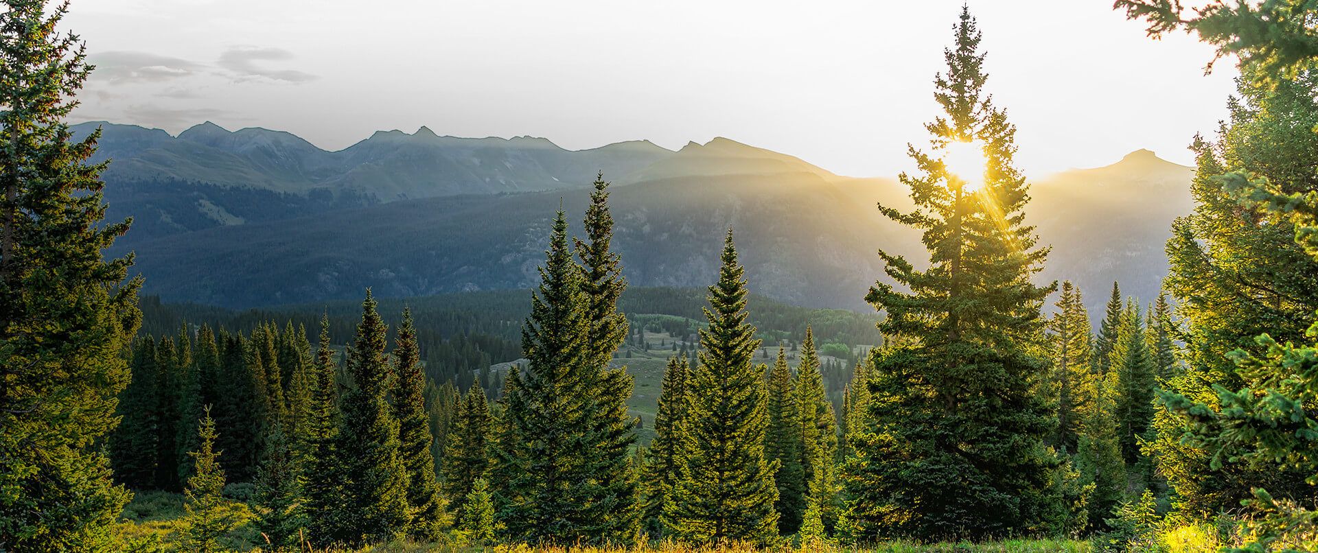 REcolorado: Denver and Colorado - Homes For Sale and Rent REcolorado: Denver and Colorado - Homes For Sale and Rent