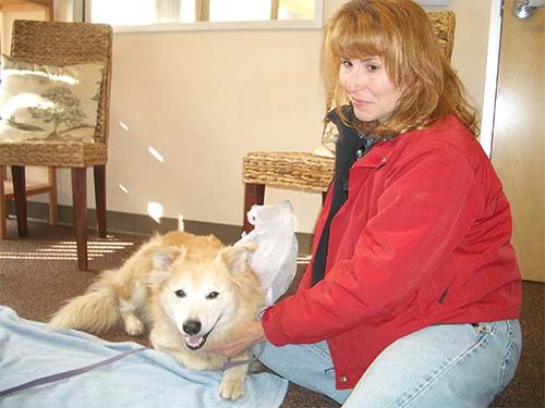 Dr. Cheryl Schwartz