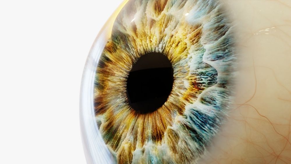 Who’s at Risk? Exploring Factors That Increase the Likelihood of Retinal Detachments