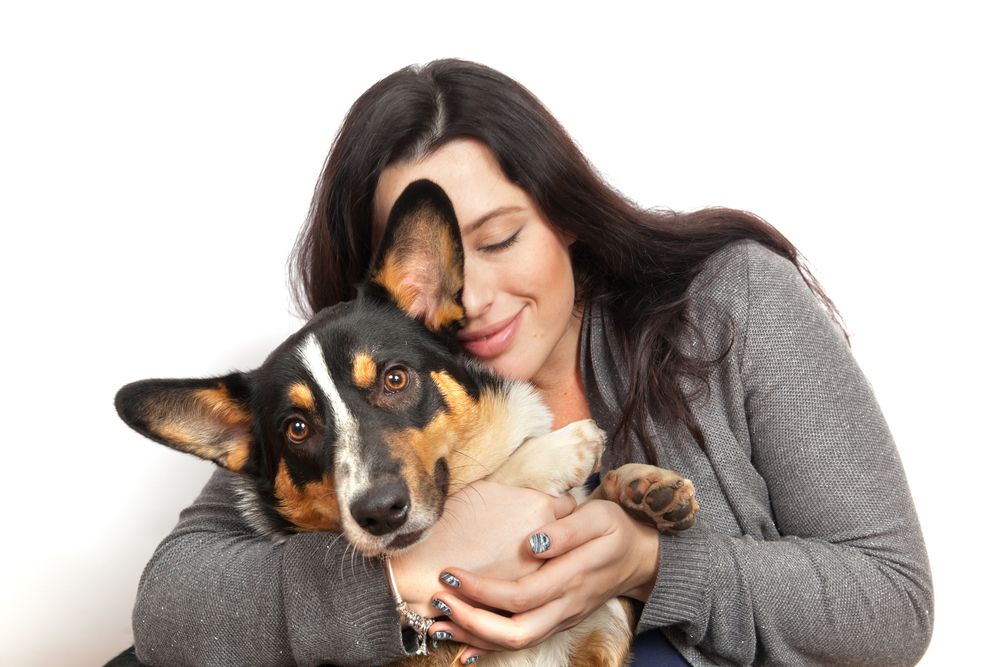 A Guide On Nurturing the Health and Well-being of Senior Pets