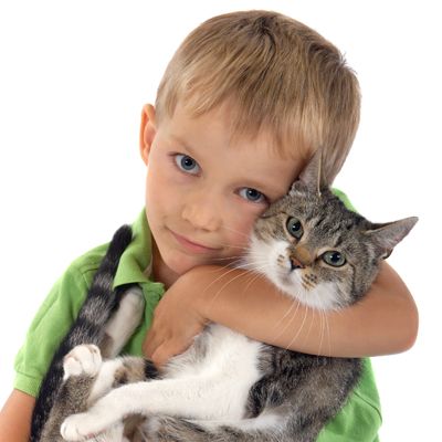 boy and a cat