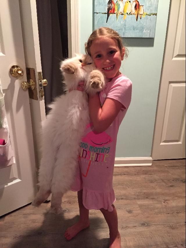 young girl and a cat