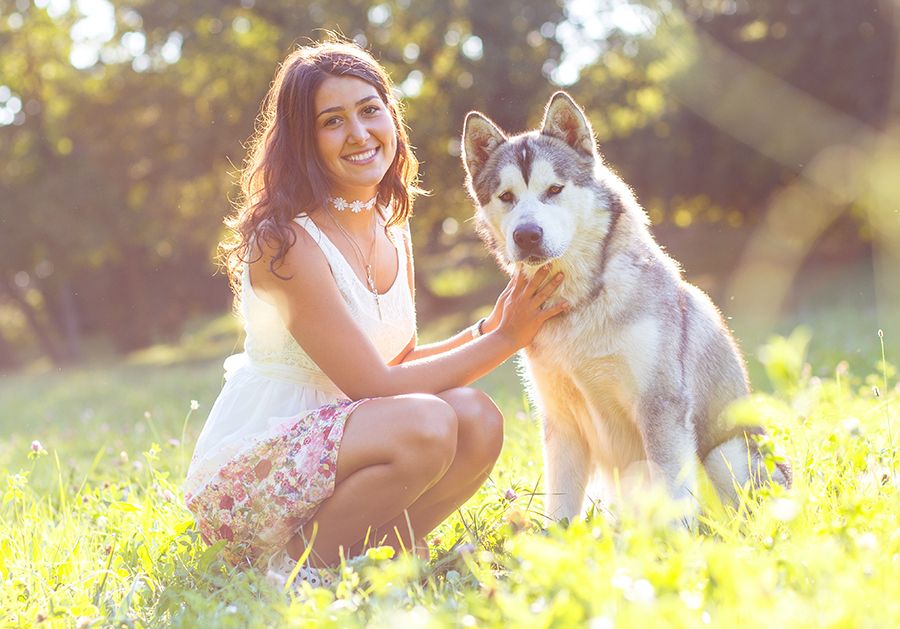 Specials offered by Homeward Bound Mobile Vet