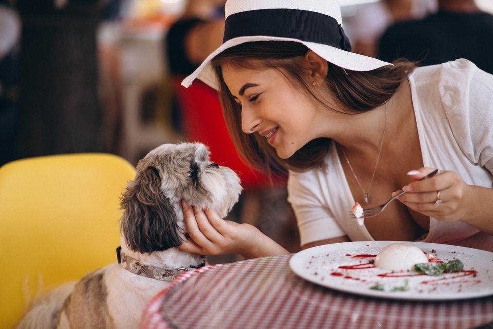 Explore Yuma's Pet-Friendly Restaurants