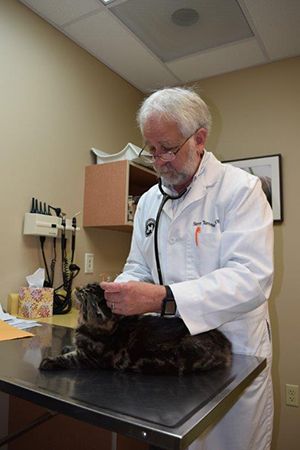 Dr. Steven Torrence examines Manny's ears as a part of his annual physical.