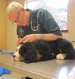 Dr. Pat Taylor gives young Jake Utermohle a thorough exam.