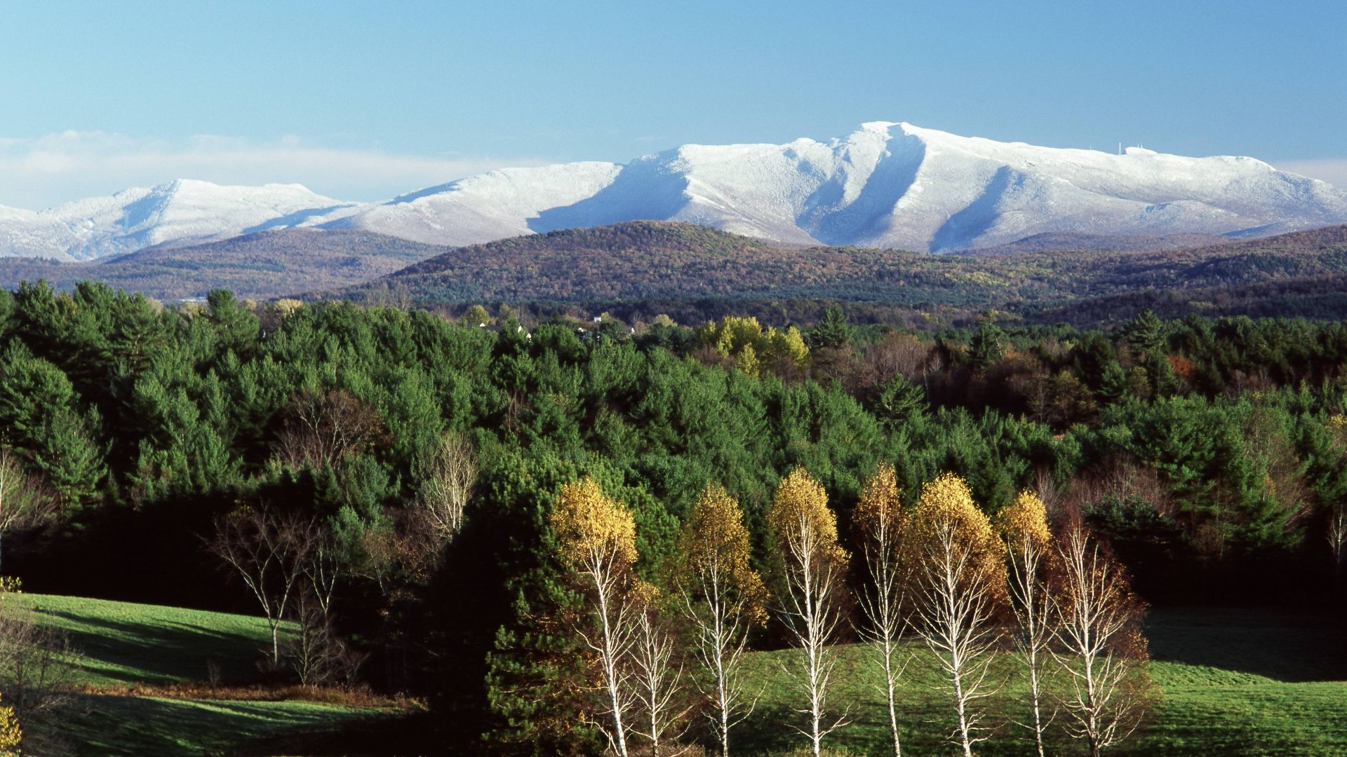 Long Trail Veterinary Center in Williston, VT