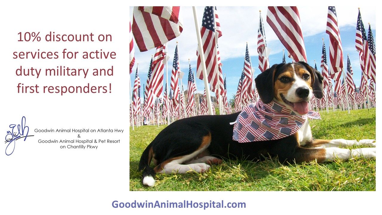 Military & First Responder Discounts for Veterinary Care