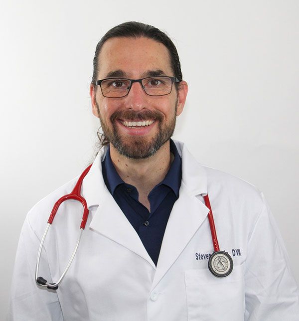 Steven Dennis, DVM