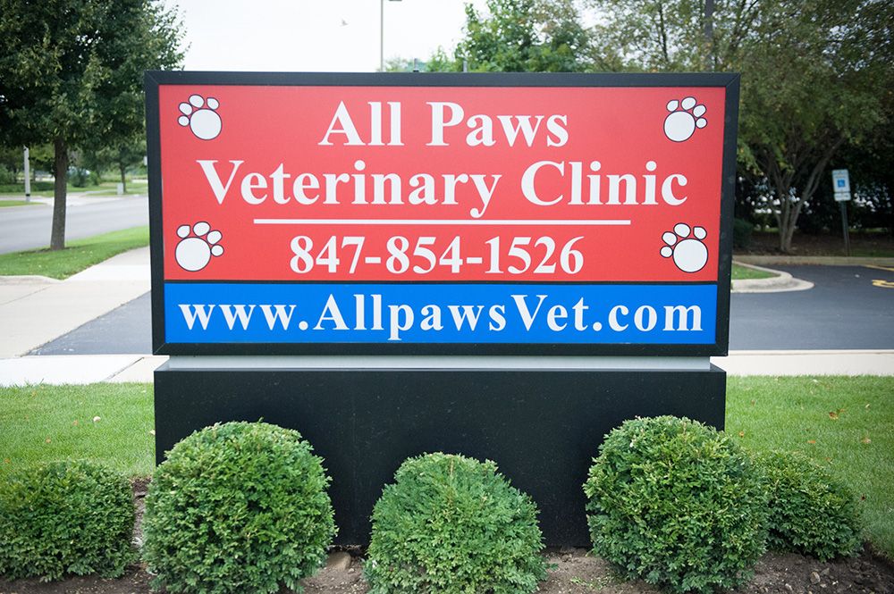About All Paws Veterinary Clinic, Veterinary Clinic in Algonquin IL