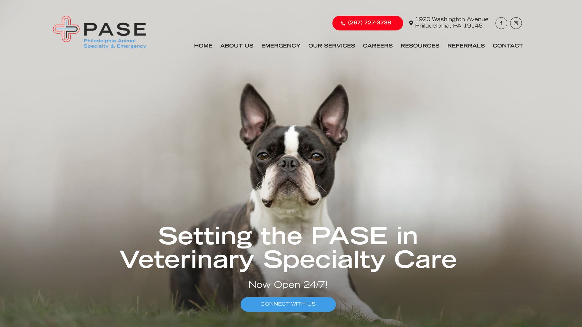 Philadelphia Animal Specialty & Emergency