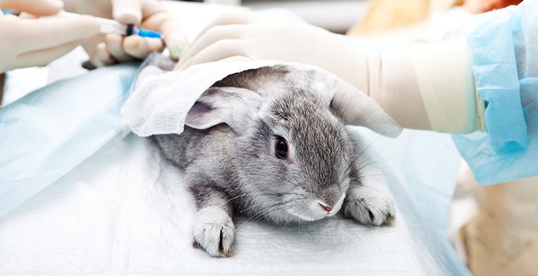 Laboratory Diagnostics 