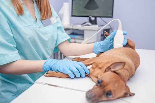Ultrasound