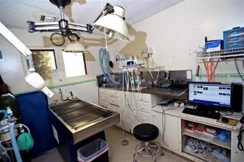 Dental Suite