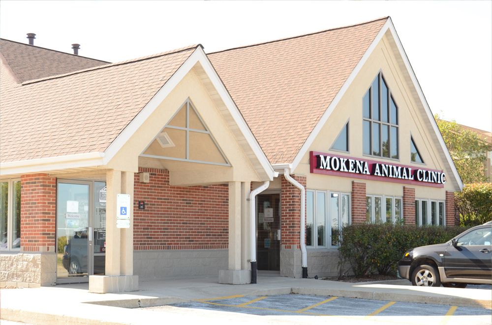 Take a Tour at Mokena Animal Clinic in Mokena, IL
