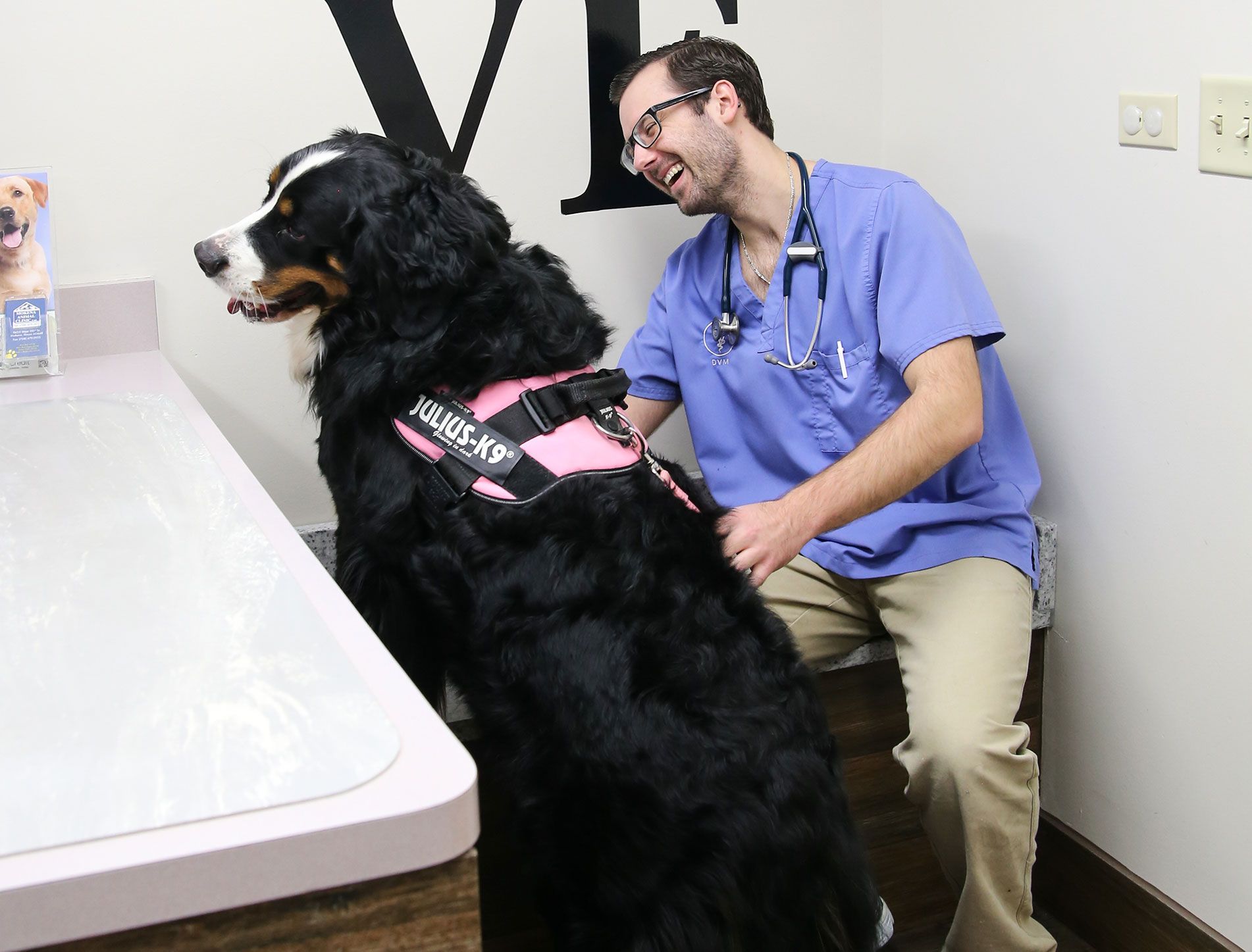 happy pet with vet