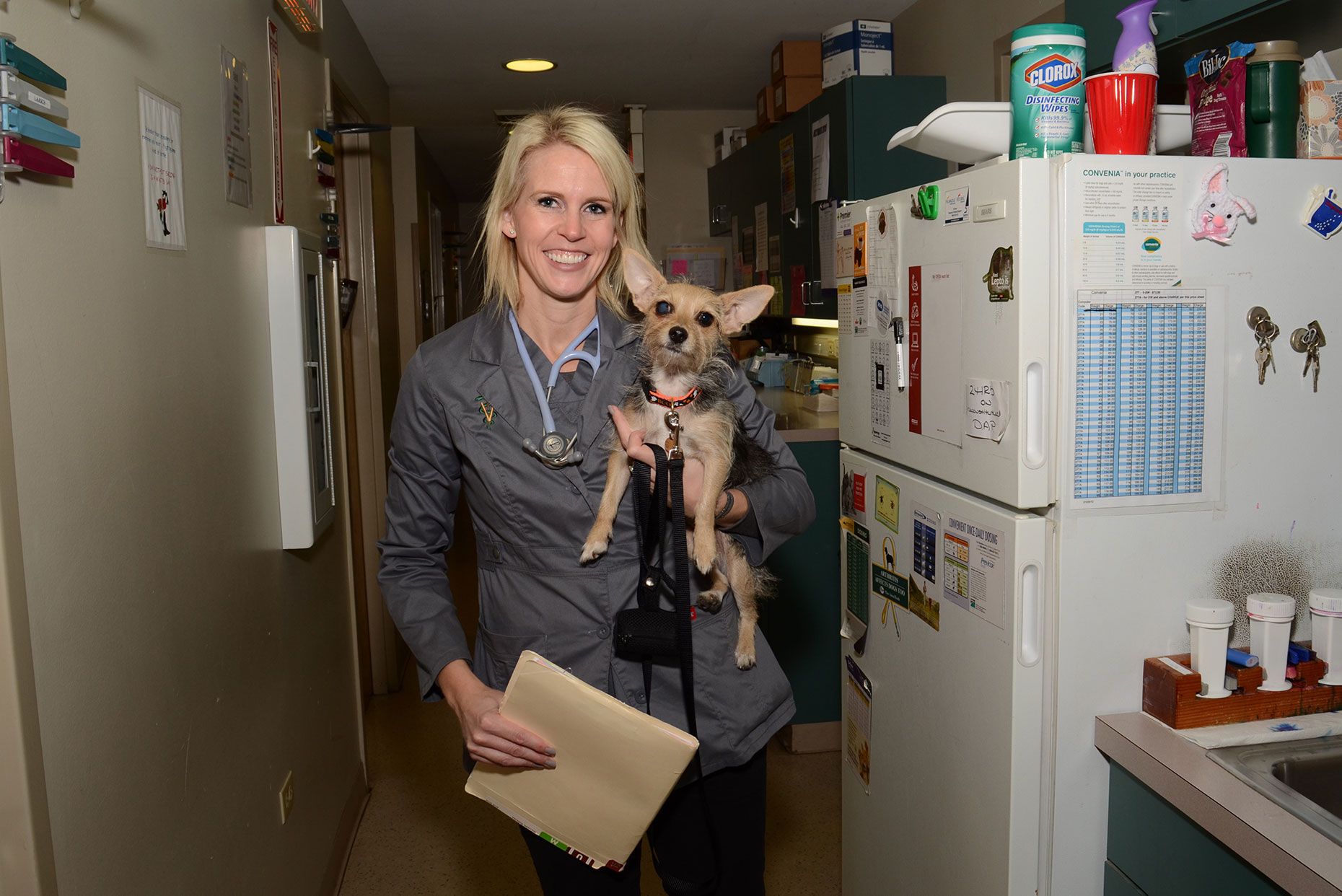 happy pet with vet