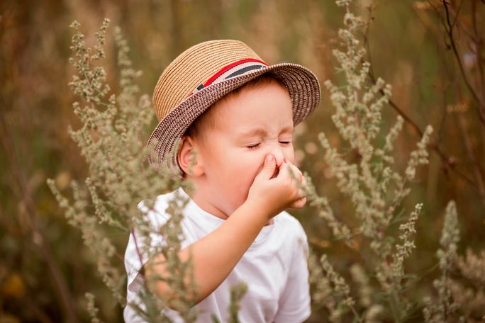 Nambudripad Allergy Elimination Technique