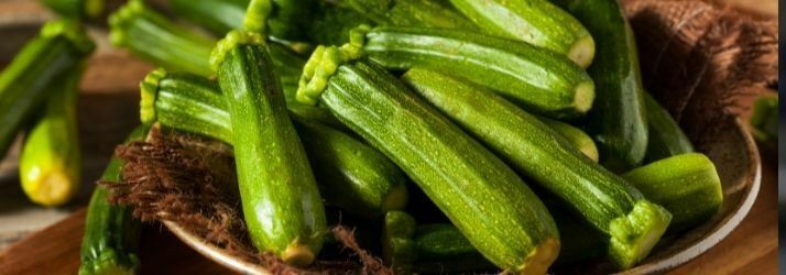 How To Use Zucchini In Broomfield